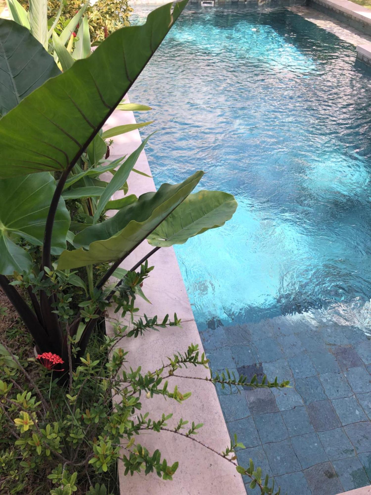 Villa Abhista Seminyak Екстер'єр фото